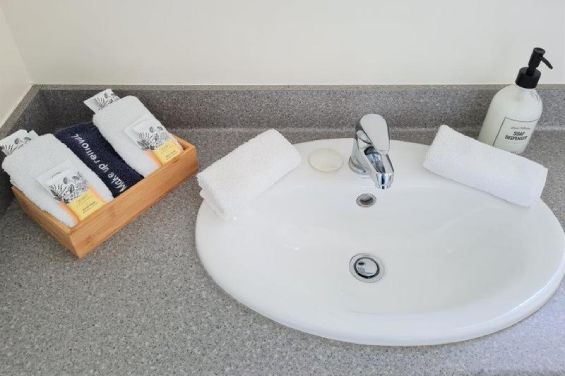 1-Bedroom Apartment toiletries